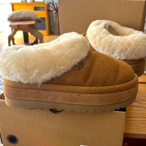 UGG Tazzlita’s